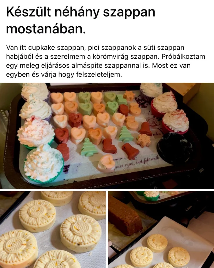 Naturéka klubtag visszajelzése a zárt csoportból — 1